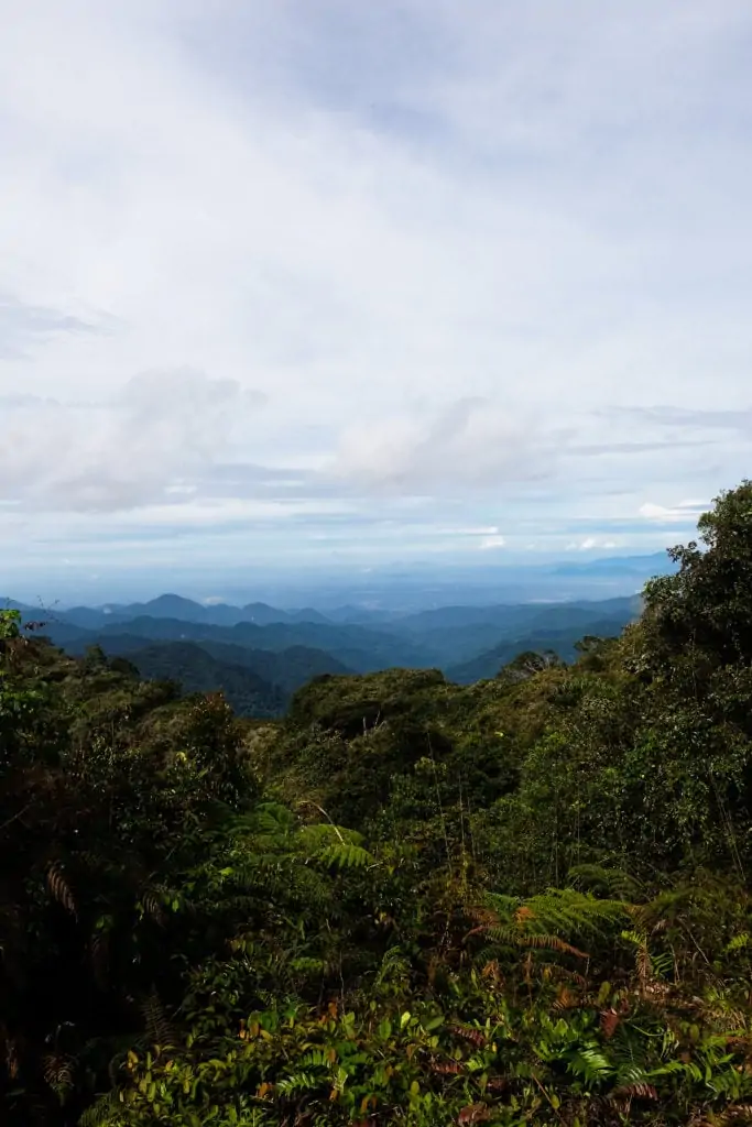 cameron highlands view